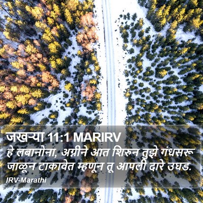 जखऱ्या 11:1 MARIRV Bible Verse Image