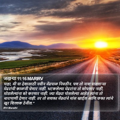 जखऱ्या 11:16 MARIRV Bible Verse Image