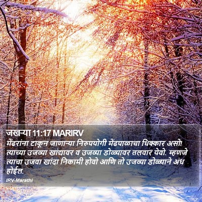 जखऱ्या 11:17 MARIRV Bible Verse Image