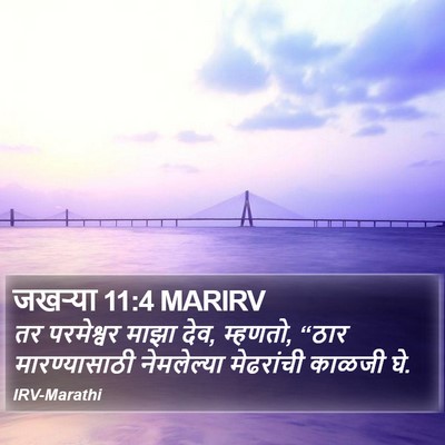 जखऱ्या 11:4 MARIRV Bible Verse Image