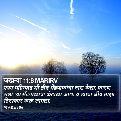 जखऱ्या 11:8 MARIRV Bible Verse Image