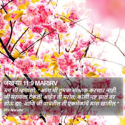 जखऱ्या 11:9 MARIRV Bible Verse Image