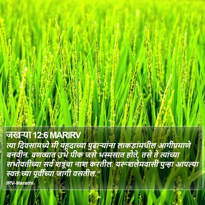 जखऱ्या 12:6 MARIRV Bible Verse Image