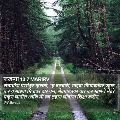 जखऱ्या 13:7 MARIRV Bible Verse Image