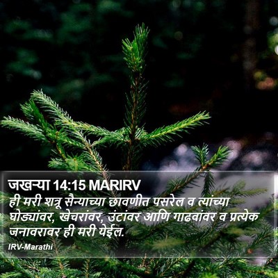 जखऱ्या 14:15 MARIRV Bible Verse Image