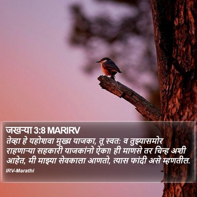 जखऱ्या 3:8 MARIRV Bible Verse Image
