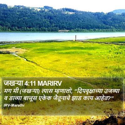 जखऱ्या 4:11 MARIRV Bible Verse Image