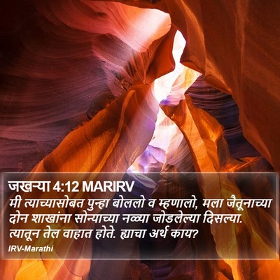 जखऱ्या 4:12 MARIRV Bible Verse Image
