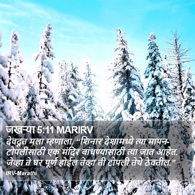 जखऱ्या 5:11 MARIRV Bible Verse Image