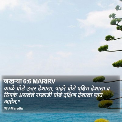 जखऱ्या 6:6 MARIRV Bible Verse Image