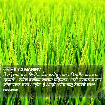 जखऱ्या 7:3 MARIRV Bible Verse Image