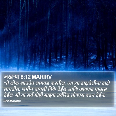 जखऱ्या 8:12 MARIRV Bible Verse Image