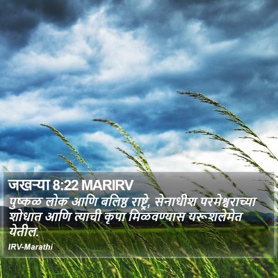 जखऱ्या 8:22 MARIRV Bible Verse Image