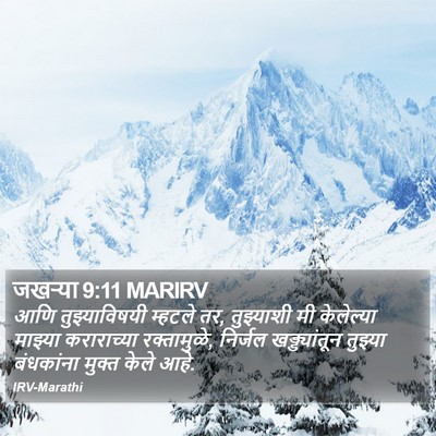 जखऱ्या 9:11 MARIRV Bible Verse Image