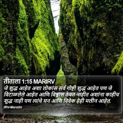 तीताला 1:15 MARIRV Bible Verse Image
