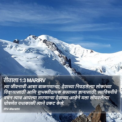 तीताला 1:3 MARIRV Bible Verse Image