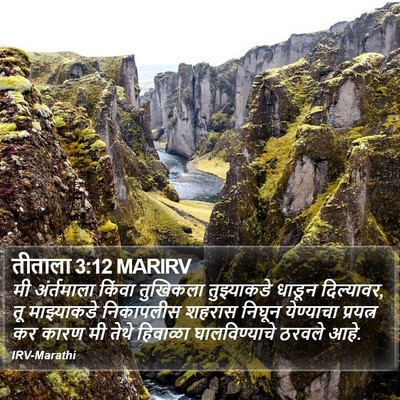 तीताला 3:12 MARIRV Bible Verse Image