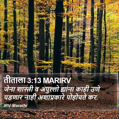 तीताला 3:13 MARIRV Bible Verse Image