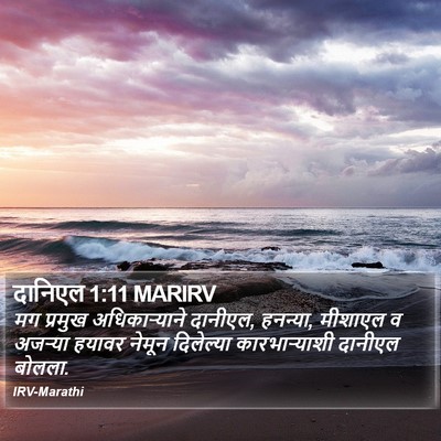 दानिएल 1:11 MARIRV Bible Verse Image