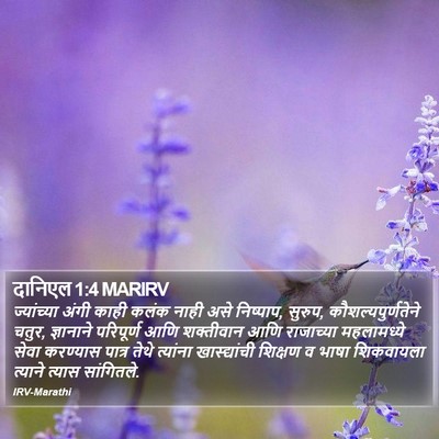 दानिएल 1:4 MARIRV Bible Verse Image