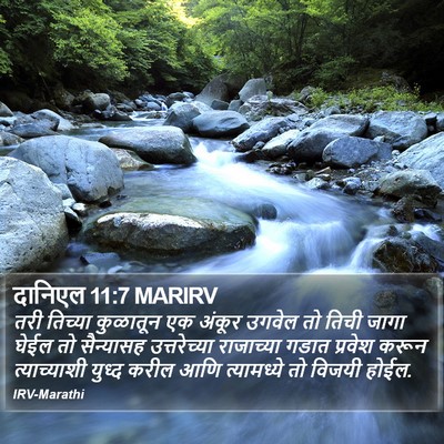 दानिएल 11:7 MARIRV Bible Verse Image