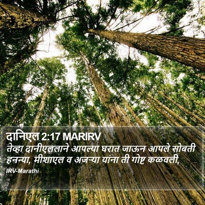 दानिएल 2:17 MARIRV Bible Verse Image