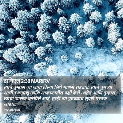 दानिएल 2:38 MARIRV Bible Verse Image