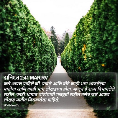 दानिएल 2:41 MARIRV Bible Verse Image