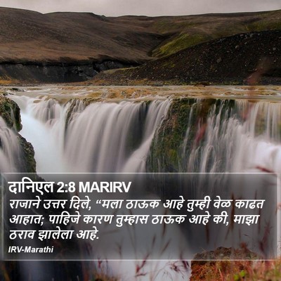 दानिएल 2:8 MARIRV Bible Verse Image