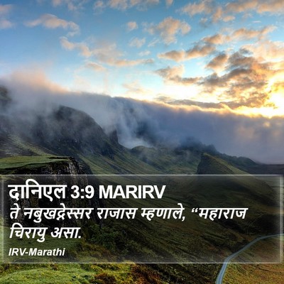 दानिएल 3:9 MARIRV Bible Verse Image