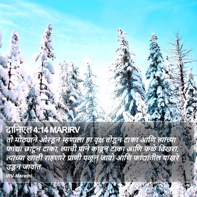 दानिएल 4:14 MARIRV Bible Verse Image