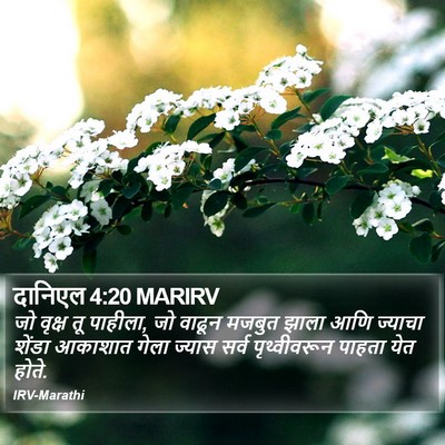 दानिएल 4:20 MARIRV Bible Verse Image
