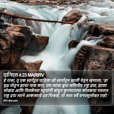 दानिएल 4:23 MARIRV Bible Verse Image