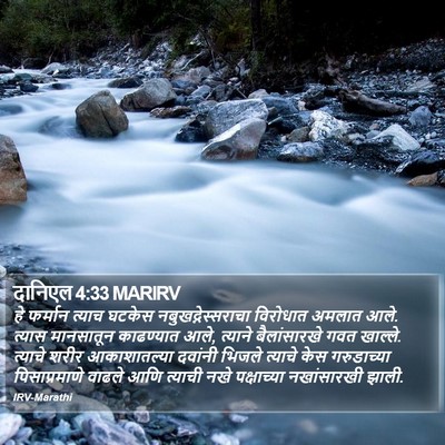दानिएल 4:33 MARIRV Bible Verse Image