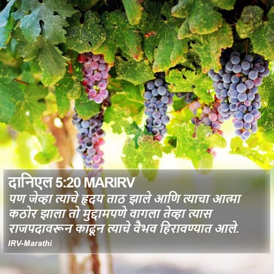 दानिएल 5:20 MARIRV Bible Verse Image