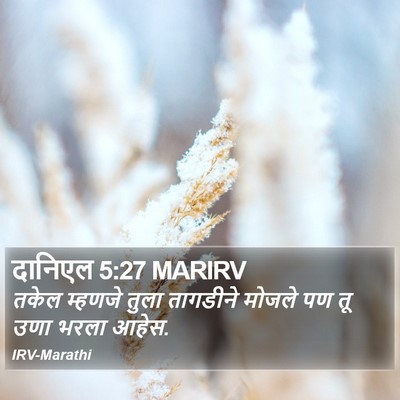 दानिएल 5:27 MARIRV Bible Verse Image