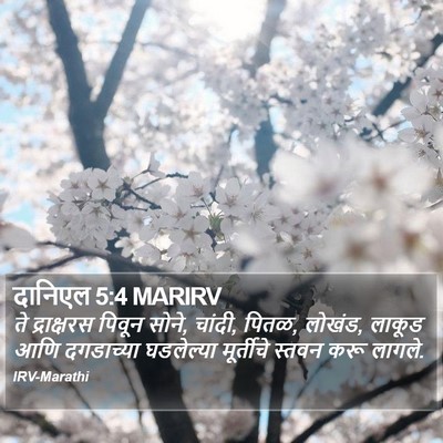 दानिएल 5:4 MARIRV Bible Verse Image