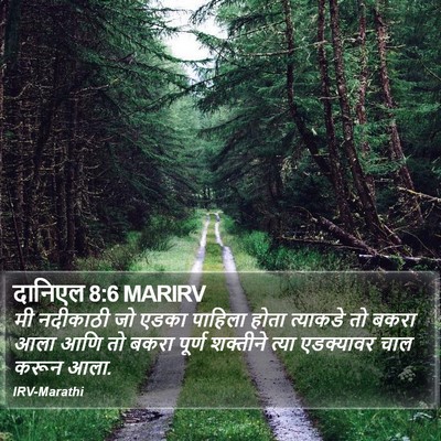 दानिएल 8:6 MARIRV Bible Verse Image