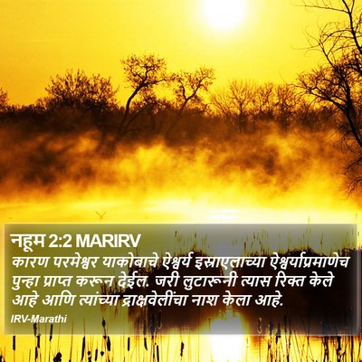 नहूम 2:2 MARIRV Bible Verse Image