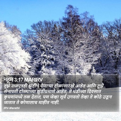 नहूम 3:17 MARIRV Bible Verse Image