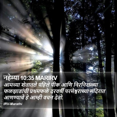 नहेम्या 10:35 MARIRV Bible Verse Image