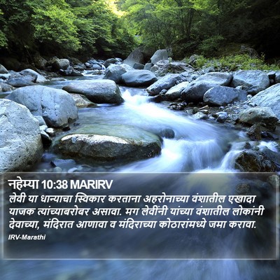 नहेम्या 10:38 MARIRV Bible Verse Image