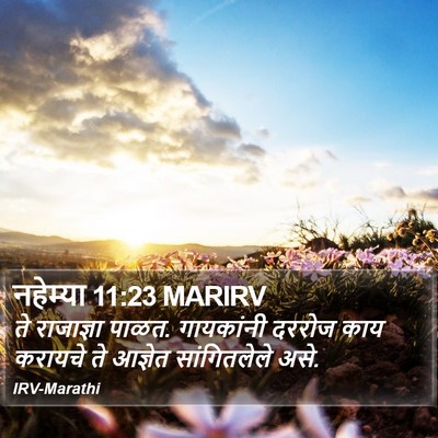 नहेम्या 11:23 MARIRV Bible Verse Image