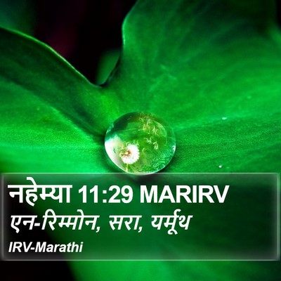 नहेम्या 11:29 MARIRV Bible Verse Image
