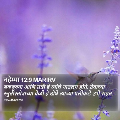 नहेम्या 12:9 MARIRV Bible Verse Image