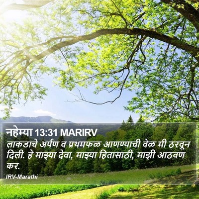 नहेम्या 13:31 MARIRV Bible Verse Image