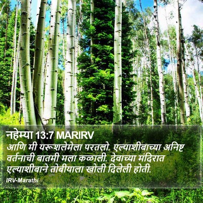 नहेम्या 13:7 MARIRV Bible Verse Image