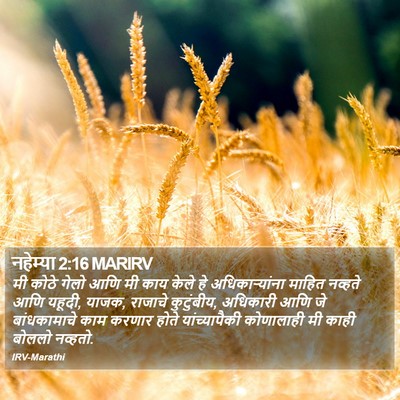 नहेम्या 2:16 MARIRV Bible Verse Image