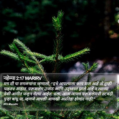 नहेम्या 2:17 MARIRV Bible Verse Image
