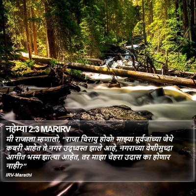 नहेम्या 2:3 MARIRV Bible Verse Image